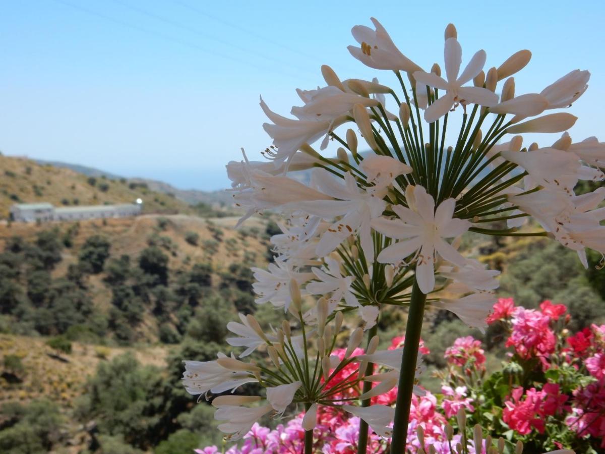 Bed And Breakfast Lagabella Sedella Exterior foto