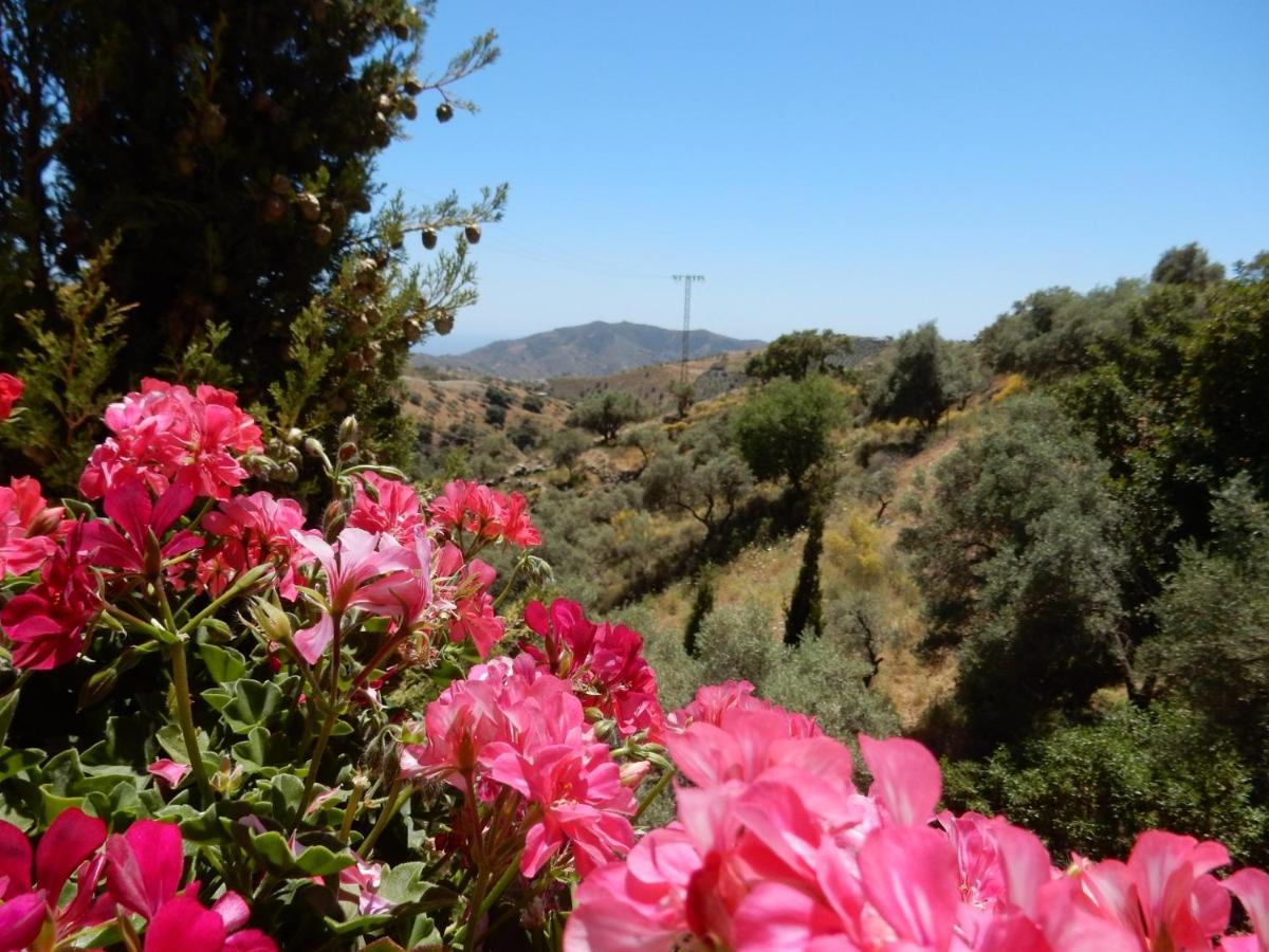 Bed And Breakfast Lagabella Sedella Exterior foto