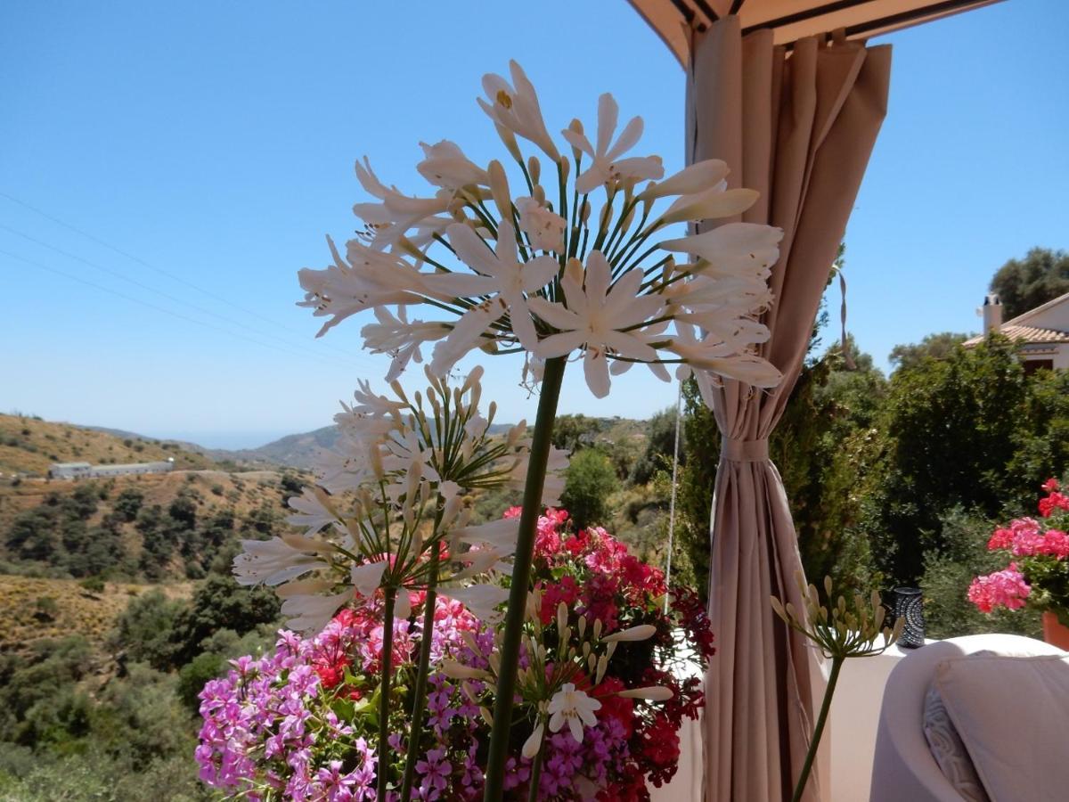 Bed And Breakfast Lagabella Sedella Exterior foto