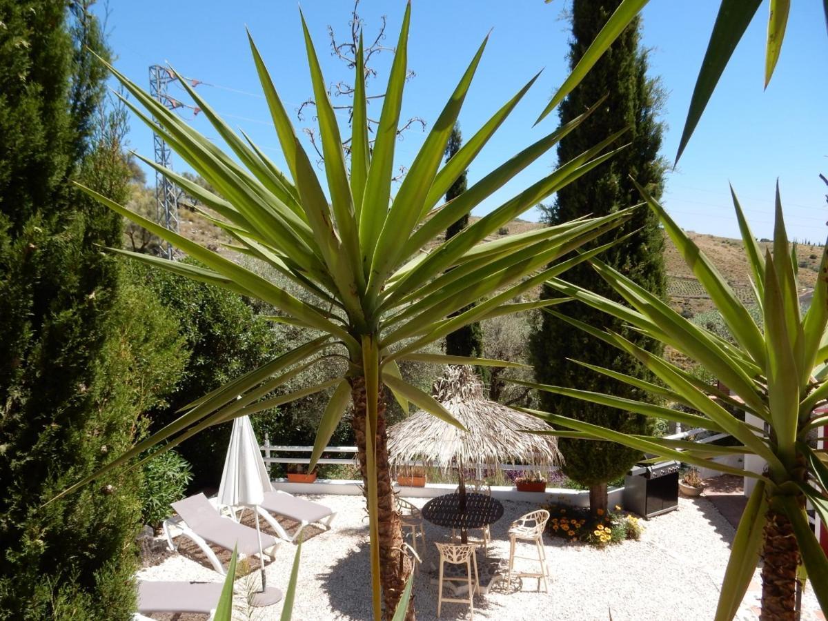 Bed And Breakfast Lagabella Sedella Exterior foto